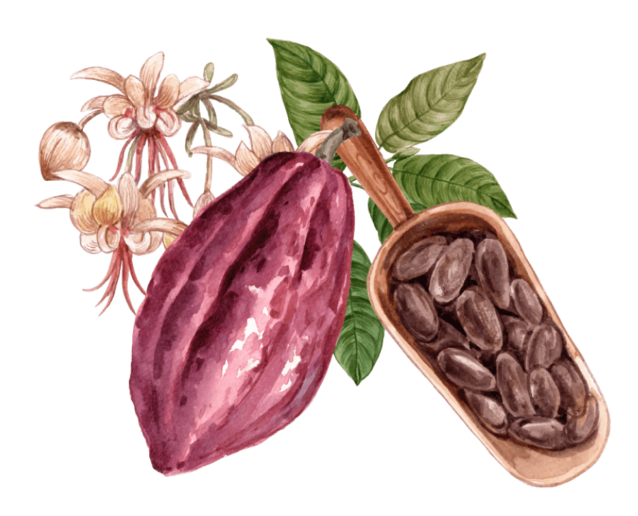 Cacao